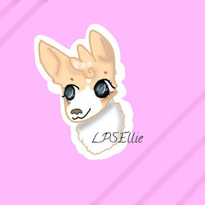 Meet your Posher, Lpsellie